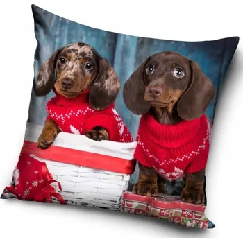 Polštář PES PEJSEK PEJSCI povlak na polštář 40x40