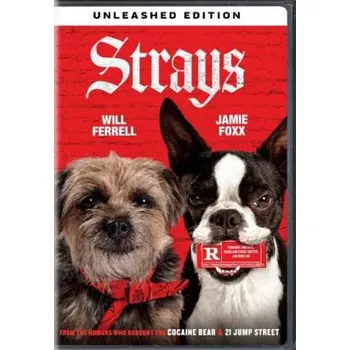 Zahraniční hudba DVD The Strays: Strays 2023
