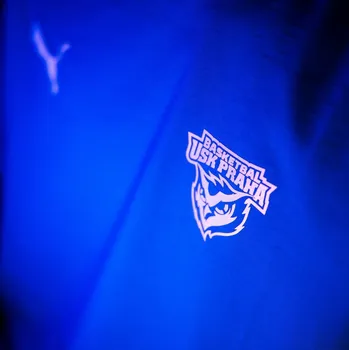 Pánské tričko Puma teamGOAL Casuals Tee USK Dunk Velikost oblečení: 3XL