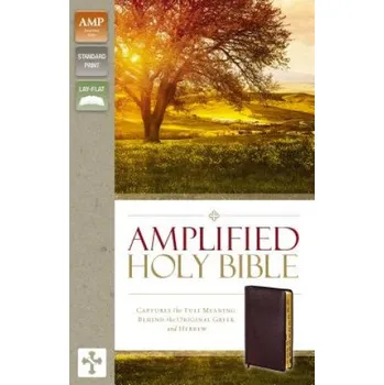 Amplified Holy Bible, Bonded Leather, Burgundy, Thumb Indexed (Zondervan Publishing)(Pevná)