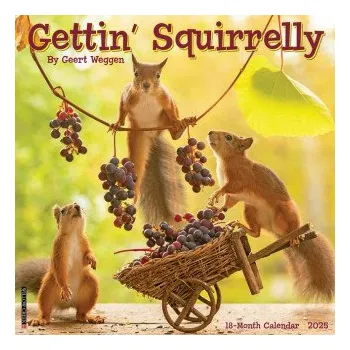 Kalendář Gettin' Squirrelly 2026 12 X 12 Wall Calendar (Kalendář)