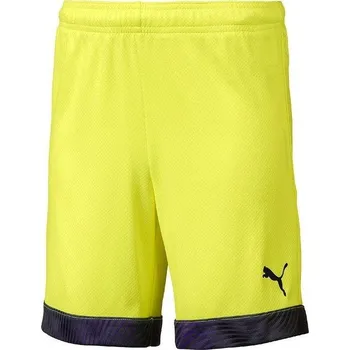 Šortky Puma CUP Shorts 704034-046 Velikost M