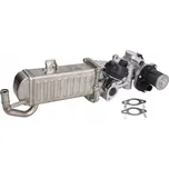 BorgWarner 710861D/1 Modul AGR