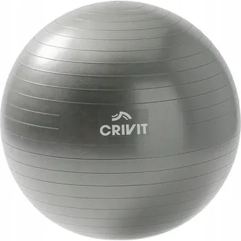 Gymnastický míč Gymnastický míč o průměru 65 cm