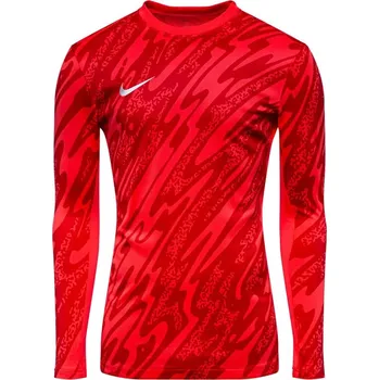 Míčový sport Dres s dlouhým rukávem Nike Y NK DF GARDIEN V GK JSY LS fd7480-644 Velikost S (128-137 cm)