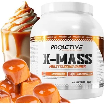 Protein GAINER v prášku protein sacharidy ProActive X-MASS KARAMEL 3 kg
