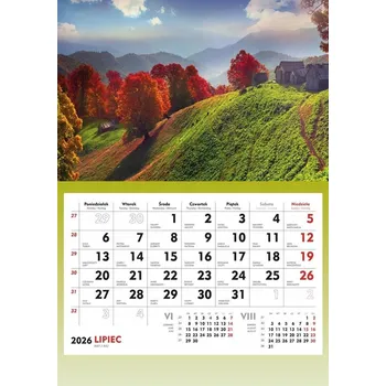 Kalendář Nástěnný kalendář 2025 Michalczyk i Prokop T-107S-04