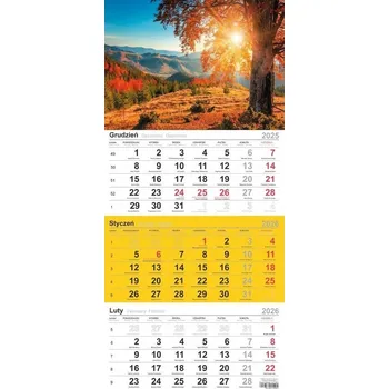 Kalendář Třídílný kalendář 2025 Michalczyk I Prokop T-106T-12