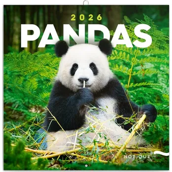 Kalendář Poznámkový kalendář Pandy 2026