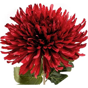 umělá květina Umělá chryzantéma - 6 (Ø18 cm) červená tmavá otevřená