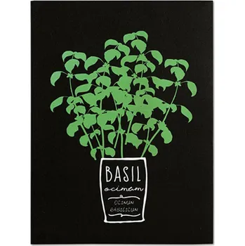 Obraz Plátěný obraz MDF deska s motivem bazalky - zelené odstíny 30x40 cm Barva: Zelená