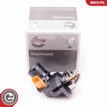 Těsnění motoru Termostat, chladivo SKV 20SKV078