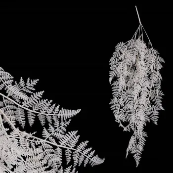 umělá květina Kapradí - umělá převislá větev, barva bílá Barva: bílá