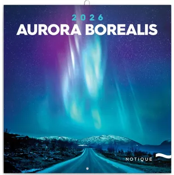 Kalendář NOTIQUE Poznámkový kalendář Polární záře 2026, 30 x 30 cm