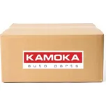Kamoka 8015046 Katalyzátor