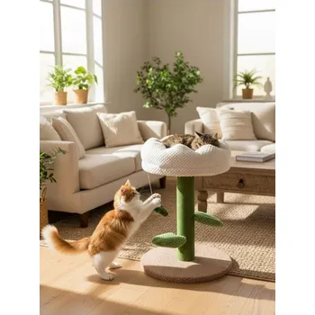 Sinsay - Škrabadlo pro kočky s pelíškem - vícebarevná - 828IA-MLC - 828IA-MLC-ONE