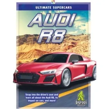 Audi R8 - Greve, Meg