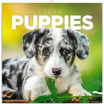 Kalendář Poznámkový kalendář Štěnata 2026