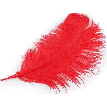 Bytová dekorace Pštrosí peří délka 50-55 cm - 5 červená