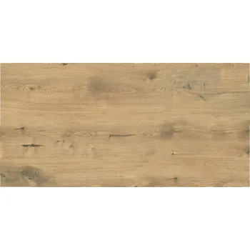 Dlažba DLAŽBA PREMIUM WOOD BRONZE MAT 59,8X119,8 (II. JAKOST)