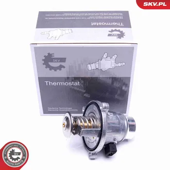 Těsnění motoru Termostat, chladivo SKV 20SKV063