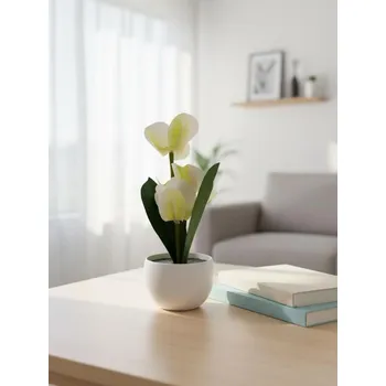 umělá květina Sinsay - Dekorativní rostlina v květináči – orchidej - krémová - 655HI-01X - 655HI-01X-ONE