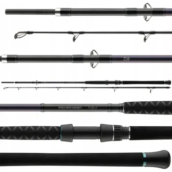 Rybářský prut Mořský prut Daiwa POWERMESH CATFISH 100-400 g 142 cm - 275 cm