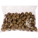 Plastová křepelčí vajíčka 100 ks - dekorační velikonoční doplněk Barva: Hnědá