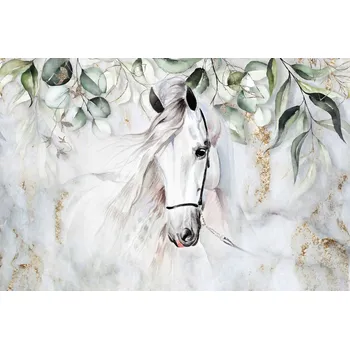 Fototapeta Fototapety fototapeta na zeď nástěnná kůň 360