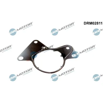 Palivový systém Těsnění, palivové čerpadlo Dr.Motor Automotive DRM02811