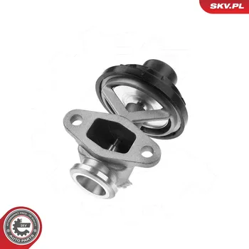 Ventil palivového systému AGR-Ventil ESEN SKV 14SKV291