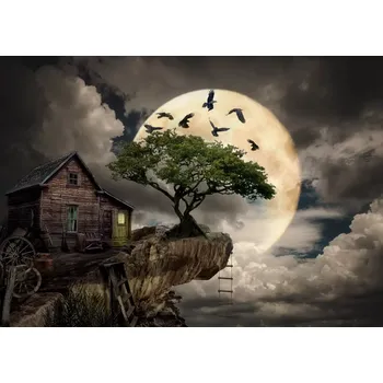 Puzzle Puzzle ENJOY srub na útesu 1000 dílků