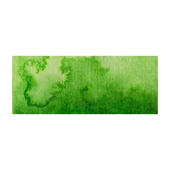 Vodová barva Akvarelová barva Renesans 15ml – 39 Zeleň permanentní