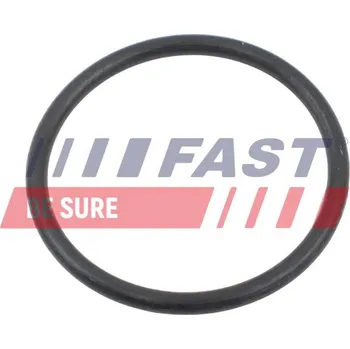 Chladič motoru Přidržovací pružina, potrubí chladiva FAST FT10368