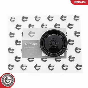 Membrána, odvětrávání klikové skříně ESEN SKV 31SKV191