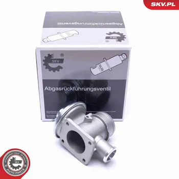 Ventil palivového systému AGR-Ventil SKV 14SKV179