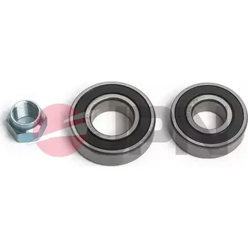 JPN Sada ložiska kola JPN 20L8004-JPN