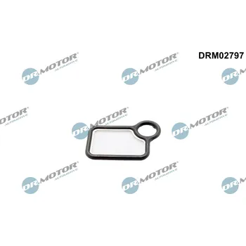 Motor automobilu Těsnění, seřízení vačkového hřídele Dr.Motor Automotive DRM02797