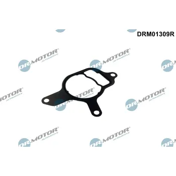 Auto-moto Těsnění, vakuové čerpadlo Dr.Motor Automotive DRM01309R