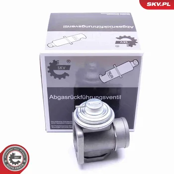 Ventil palivového systému AGR-Ventil ESEN SKV 14SKV174