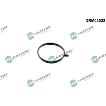 Motor automobilu Těsnicí kroužek, kompresor Dr.Motor Automotive DRM02922