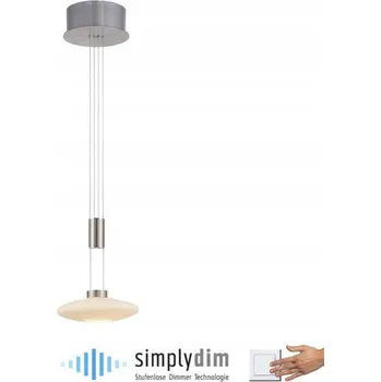 Závěsné svítidlo PAUL NEUHAUS 1-bodové, vyměnitelný LED modul