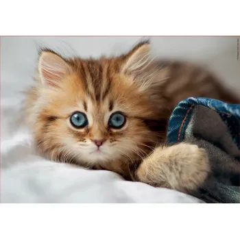 Puzzle Puzzle Koťátko EDUCA 200 dílků