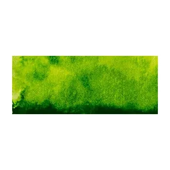 Vodová barva Akvarelová barva Renesans 15ml – 40 Zeleň Sap