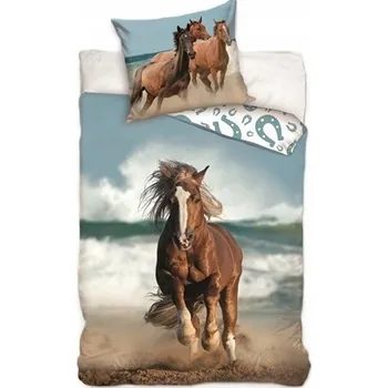 Povlečení Sada povlečení Carbotex 160 x 200 cm, vícebarevné