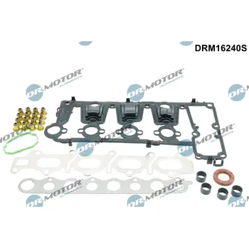 Auto-moto Sada těsnění, hlava válce Dr.Motor Automotive DRM16240S