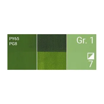 Výtvarná barva Kvaš Renesans Cover 20ml – 30 Sap green