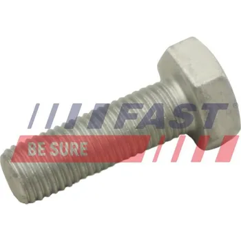 Brzdový kotouč Šroub, brzdový kotouč FAST FT30601