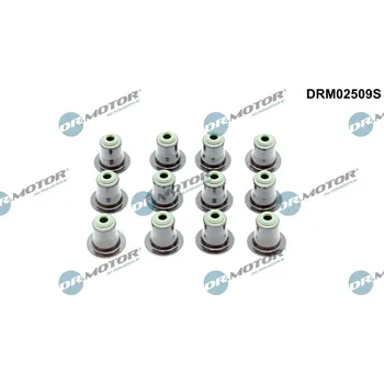 Auto-moto Sada těsnění, dřík ventilu Dr.Motor Automotive DRM02509S