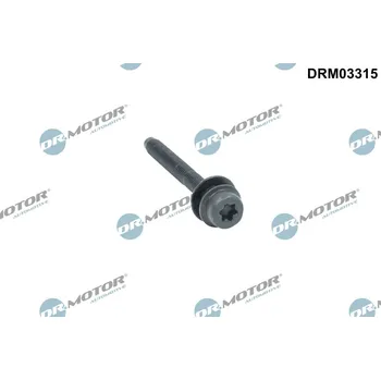 Palivový systém Šroub, držák vstřikovací trysky Dr.Motor Automotive DRM03315